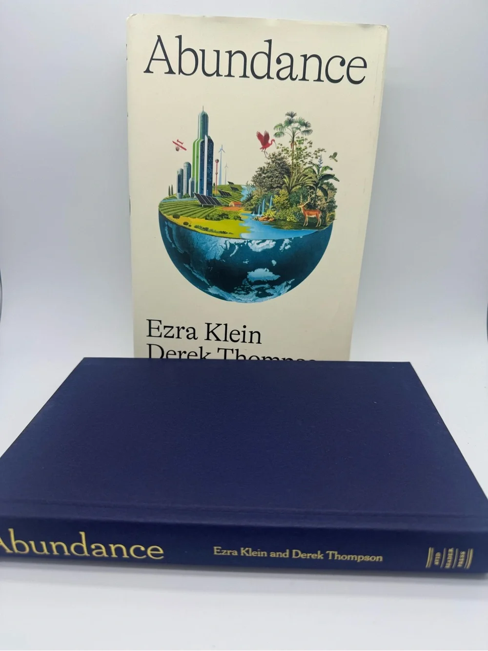 NEW Bestseller: ABUNDANCE by Ezra Kein & Derek Thompson Hardcover w/ Dust Jacket